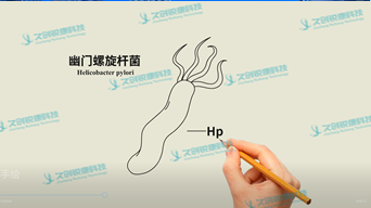 手繪動(dòng)畫類宣傳片